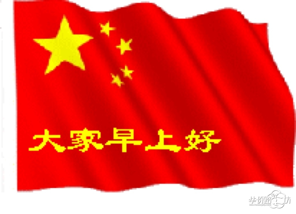 大家早上好