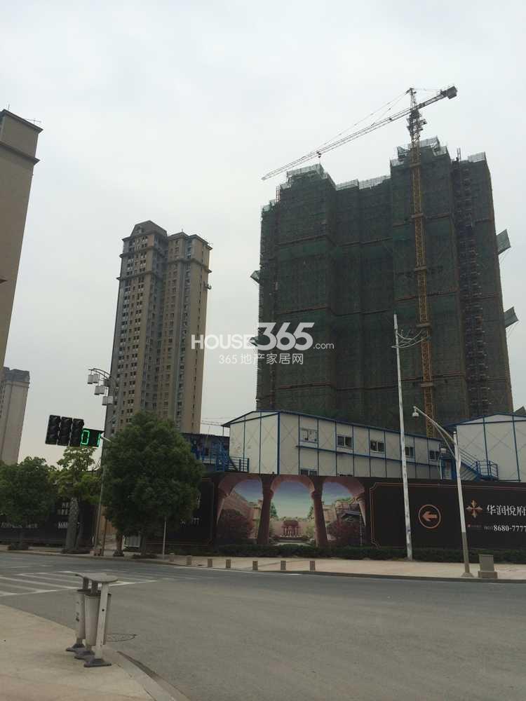 青桔人工服务电话24小时
