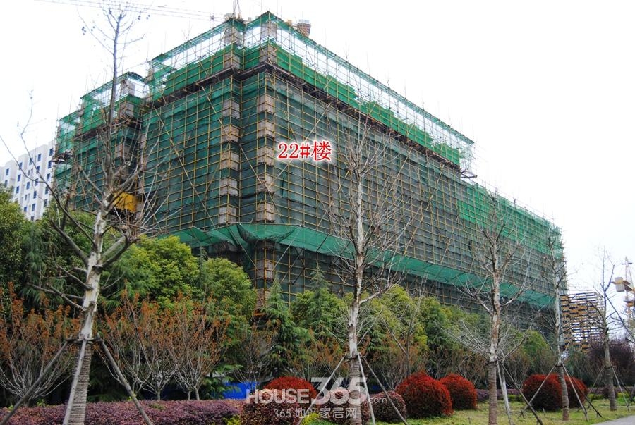柏庄观邸工程进度：22#楼建至10层（2015.3摄）