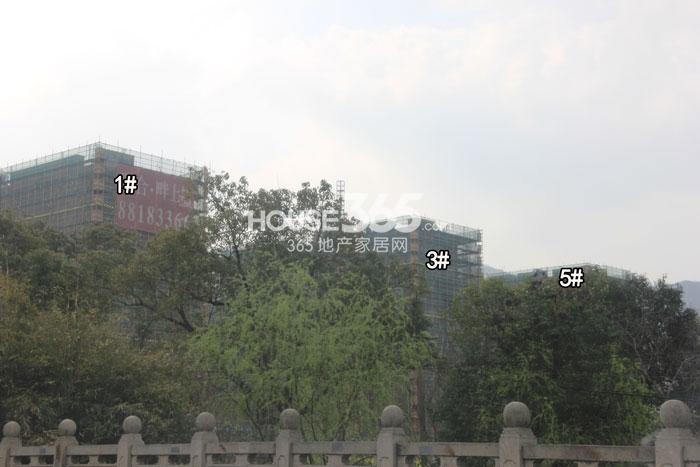 2015年3月联合畔上居项目实景--1、3、5号楼