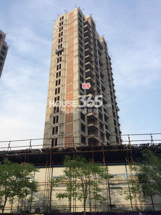 2015年5月滨江钱塘印象项目实景--8号楼