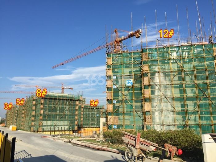 万科西庐二期3、5、8、9、12号楼施工实景图（2015.7）