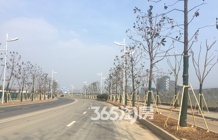 中海御山府周边新道路实景图（11.15）