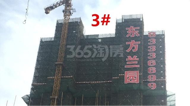 一个女的嫁给傻子的电视剧