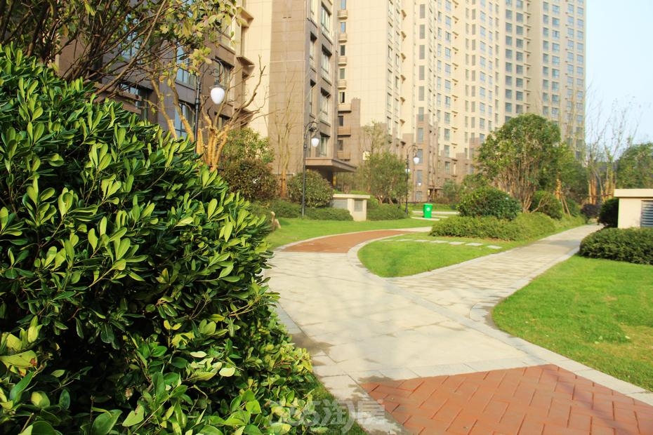 东方龙城绿竹苑小区实景(2015年12月)