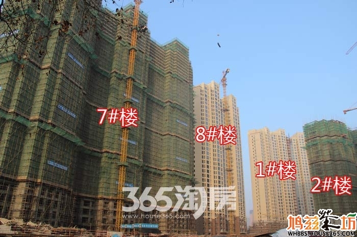 东方龙城采薇苑1#楼、8#楼工程进度（2015年12月摄）