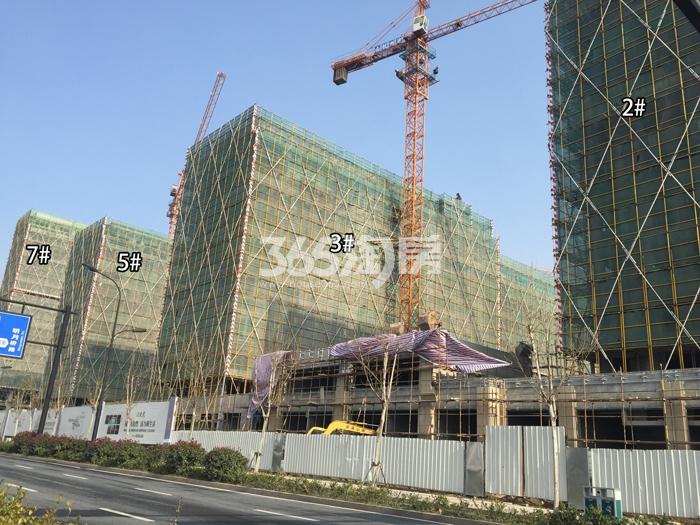 德信浙旅东宸2、3、5、7号楼施工进度实景图 2016年1月摄