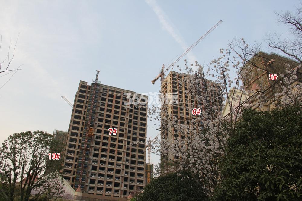 中国铁建江南国际城5、6、7、10号楼实景图 2016年3月摄