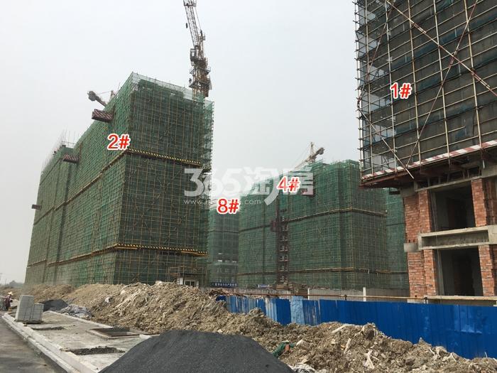 西溪蓝海1、2、4、8号楼施工进程（2016.4）