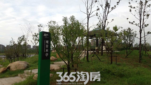文德公园里城南公园