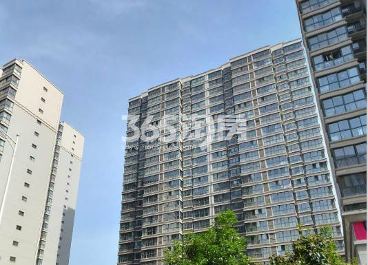 广州南方大厦图片