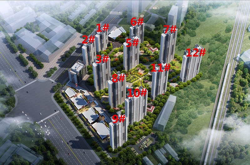 鱼先生的时代