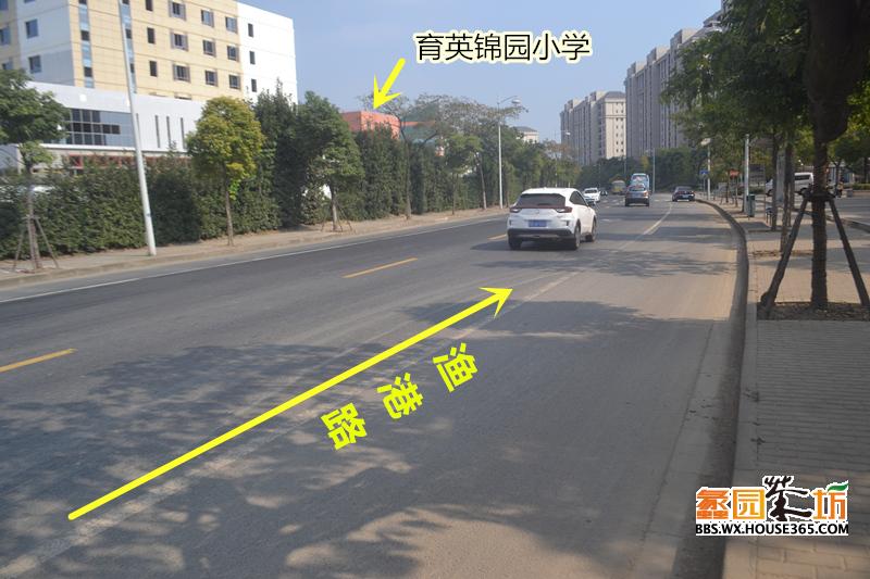 了,路上的车流量适中,不会产生噪音,不远处的红色建筑是育英锦园小学